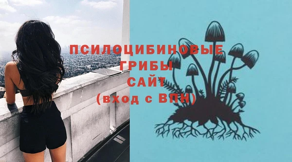 2c-b Аркадак